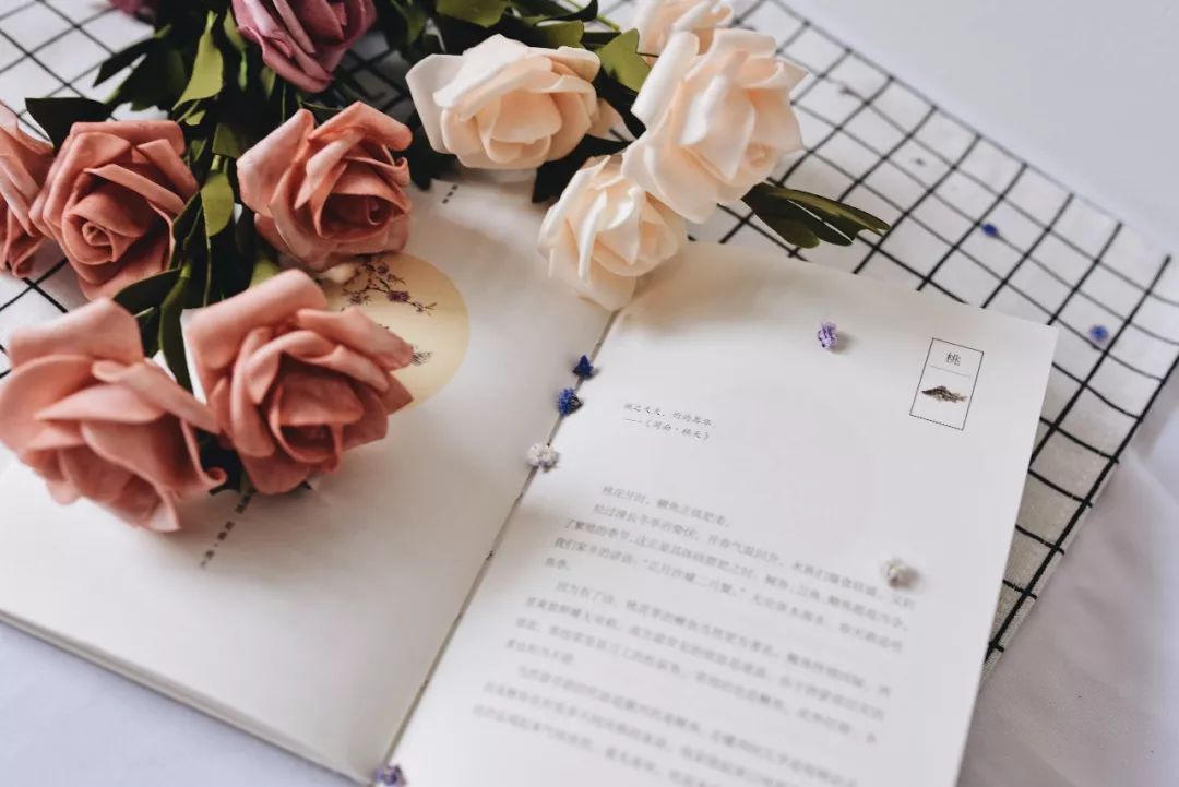 ‘JDB电子’范加尔:曾想让天使休息 但他坚持要上场(图2) JDB电子游戏官网