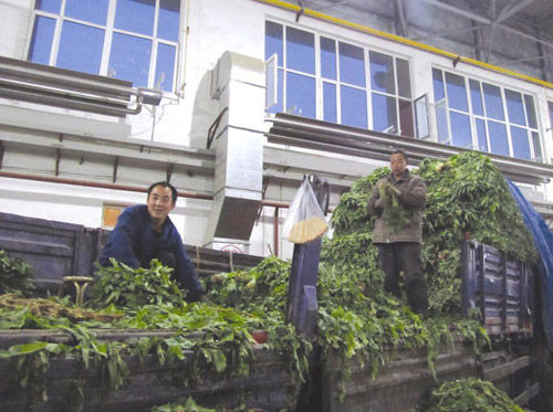 旭阳石化1500万吨/年炼化一体化项目获核准-JDB电子游戏官网(图1) JDB电子游戏官网