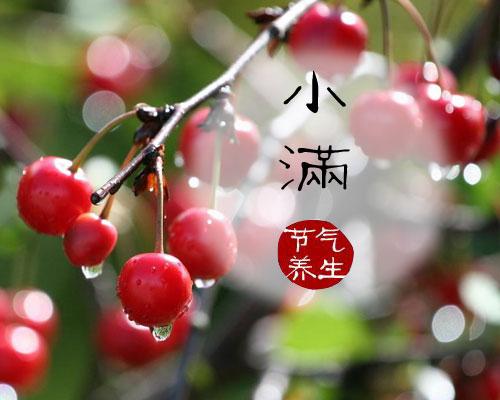 稻田冬种紫云英正适时|JDB电子游戏官网(图3) JDB电子试玩网页版