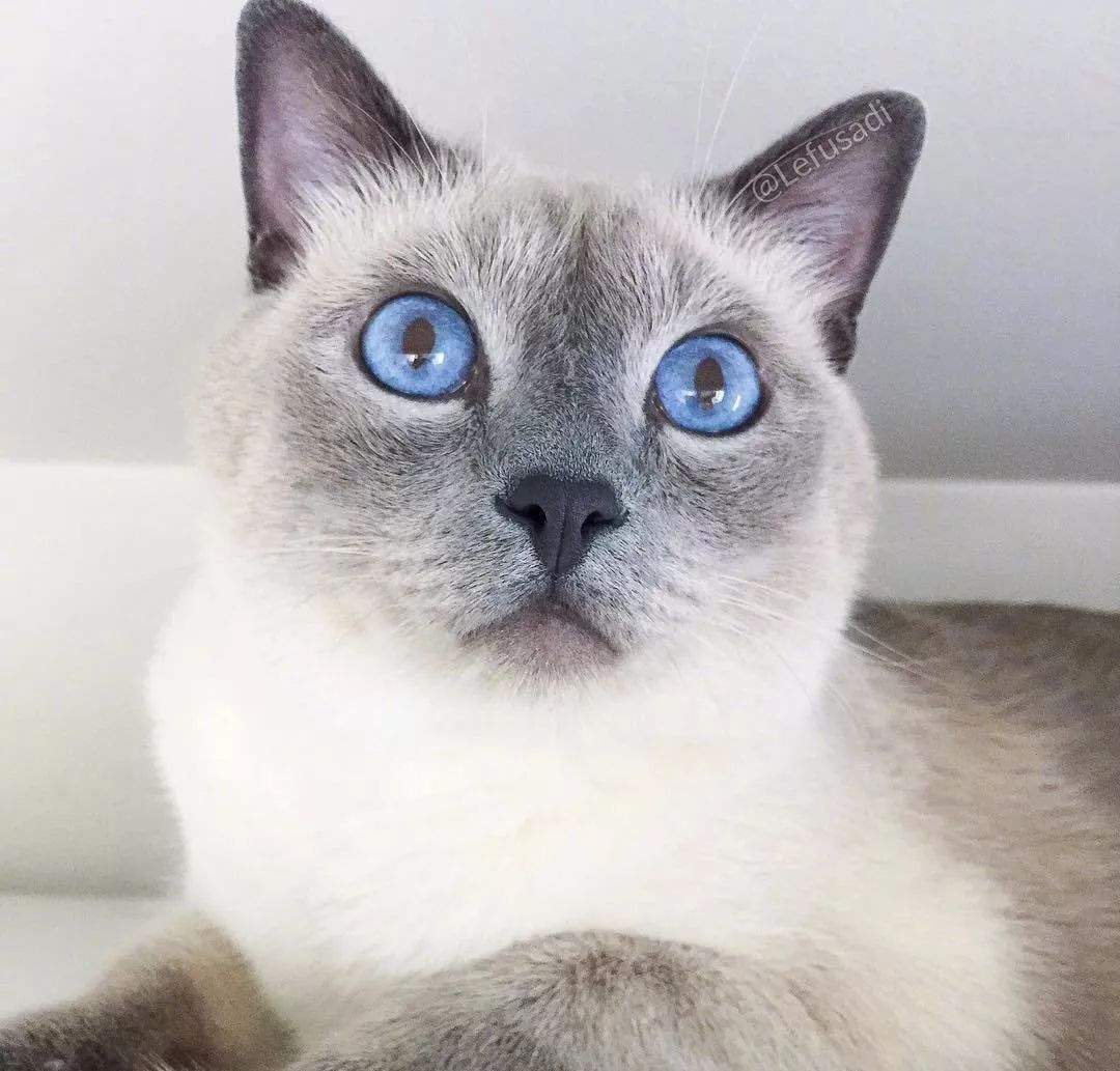 江西省领导参加义务植树活动:JDB电子游戏官网(图1) JDB电子试玩网页版