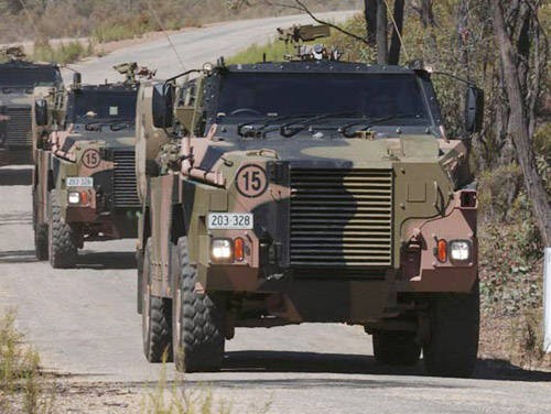 JDB电子|松树会不会开花?什么时候开?开花是什么样的?(图2) JDB电子游戏官网