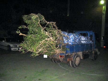 ‘JDB电子’足协承诺里皮享最大权限 用人奖金技战术他一人说了算(图4) JDB电子游戏官网