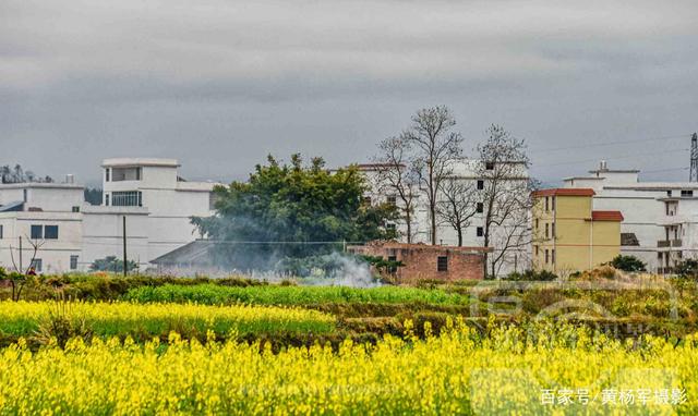 JDB电子|曼城活宝临危受命客串门将!扑出对手任意球 自己都乐了(图3) JDB电子试玩网页版