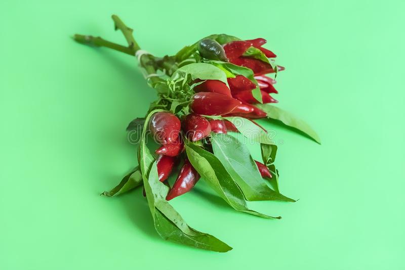 水果之王榴莲的营养价值‘JDB电子’(图1) JDB电子试玩网页版