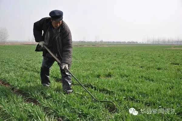 切尔西想签下伊瓜遭遇多次阻扰,遗憾的离开-JDB电子游戏官网(图1) JDB电子