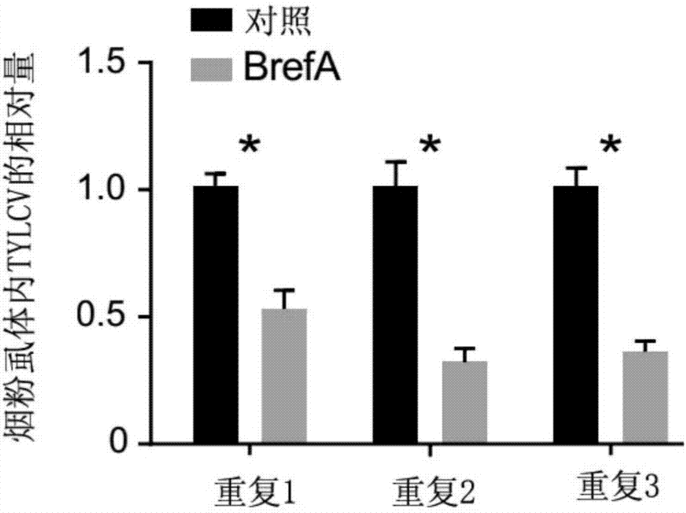 JDB电子试玩网页版-名宿怼奥巴梅扬:你都31岁了 才知道自己该做什么?(图3) JDB电子试玩网页版
