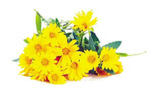 云南锗业:砷化 镓半导体器件供不应求 股票触及涨停【JDB电子游戏官网】(图3) JDB电子试玩网页版