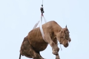 上汽乘用车9月销量超5万 荣威RX5占一半【JDB电子游戏官网】(图2) JDB电子试玩网页版