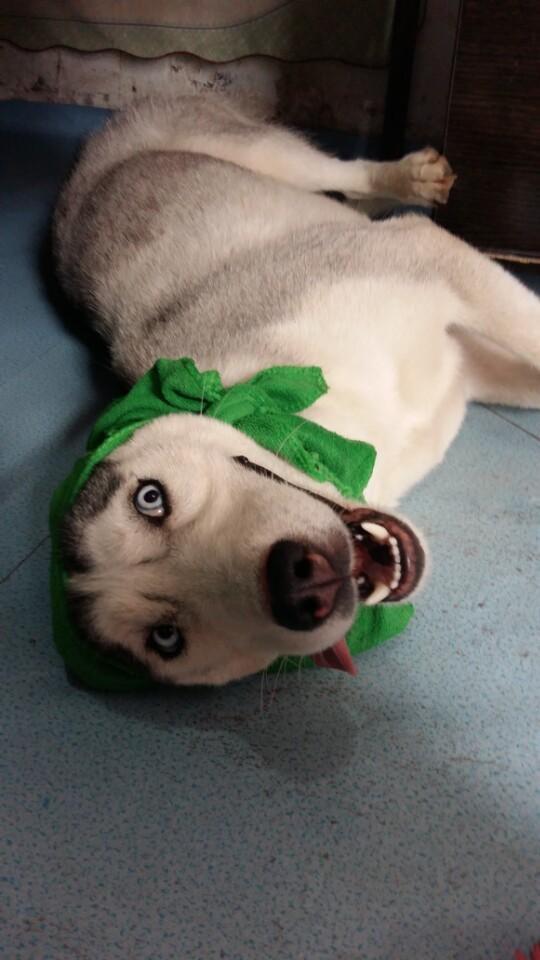 JDB电子游戏官网