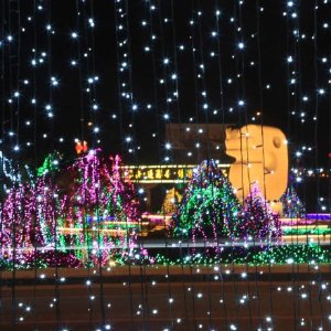 JDB电子游戏官网