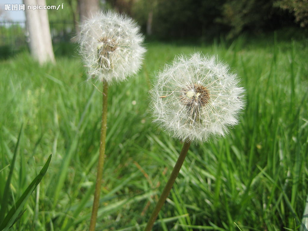 JDB电子试玩网页版