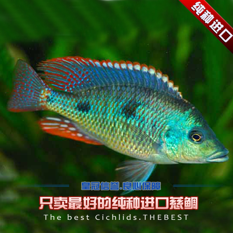 JDB电子游戏官网