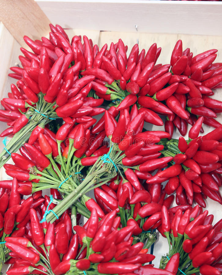 JDB电子游戏官网