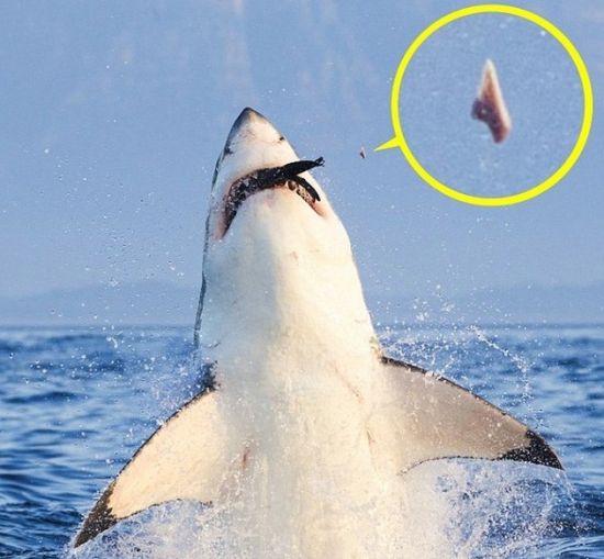 曼联球迷怒了:主场抗议高层!58分钟将集体早退:JDB电子(图2) JDB电子试玩网页版