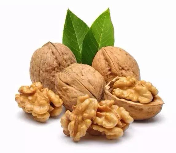 JDB电子试玩网页版