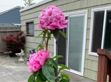 JDB电子游戏官网