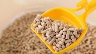 JDB电子试玩网页版