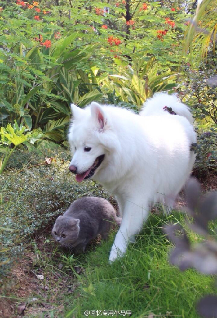 JDB电子游戏官网