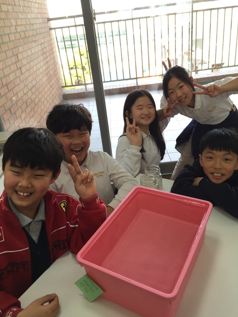 JDB电子试玩网页版