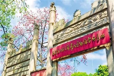 JDB电子游戏官网