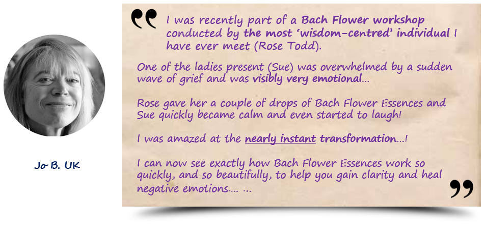 红岩杰狮中置轴货运列车获物流行业用户肯定:JDB电子游戏官网(图2) JDB电子游戏官网