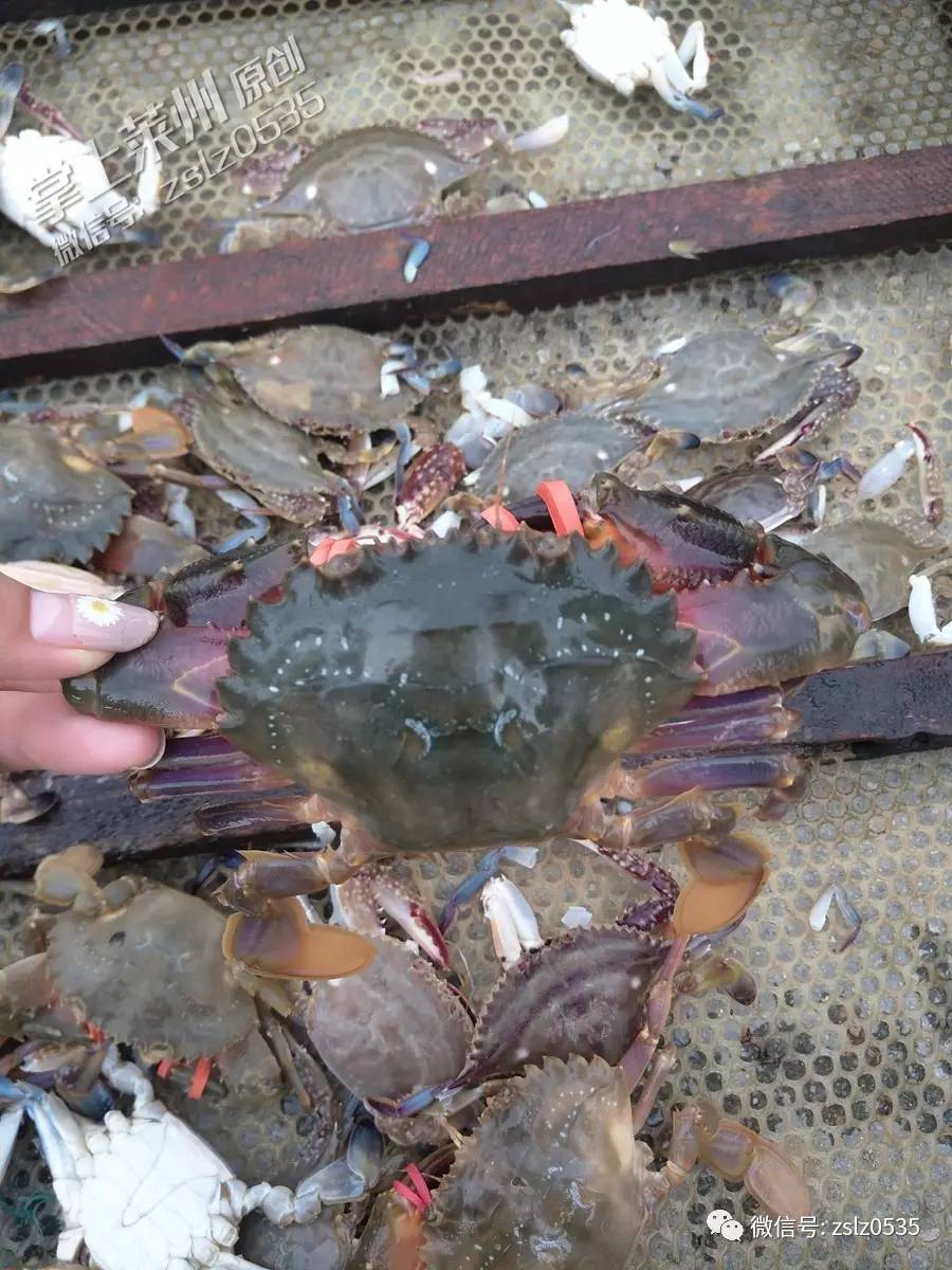 【JDB电子】青海:青海海东乐都区农业示范园区基础设施建设成绩显著(图2) JDB电子游戏官网