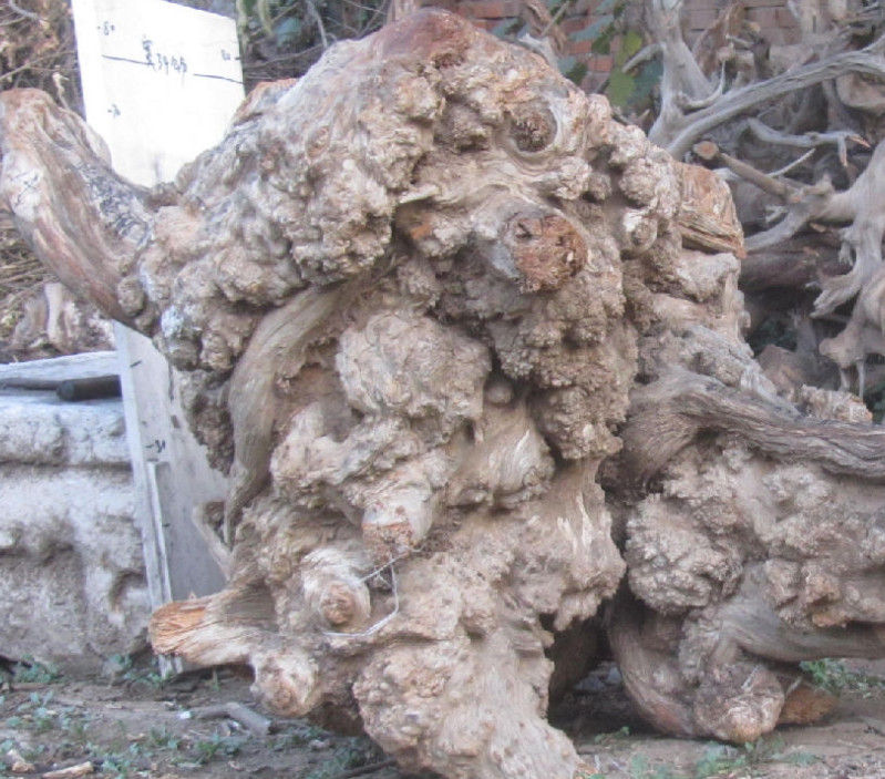 JDB电子游戏官网