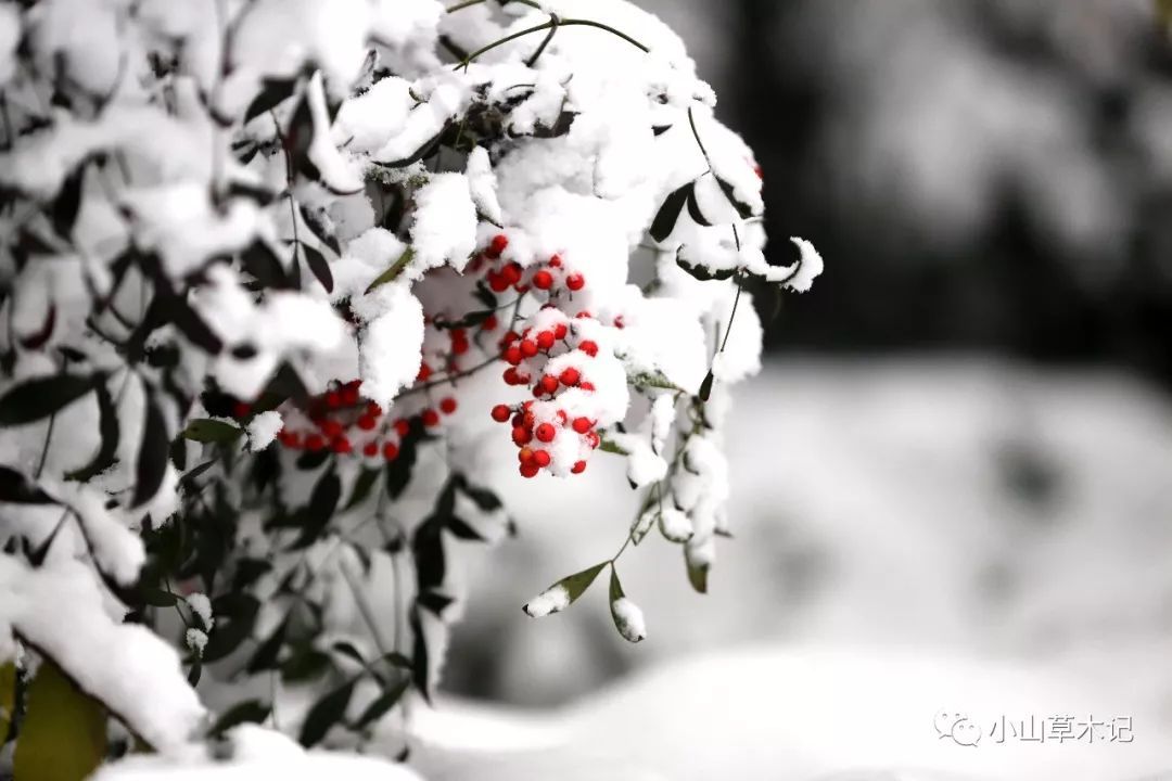 JDB电子试玩网页版