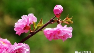 JDB电子试玩网页版