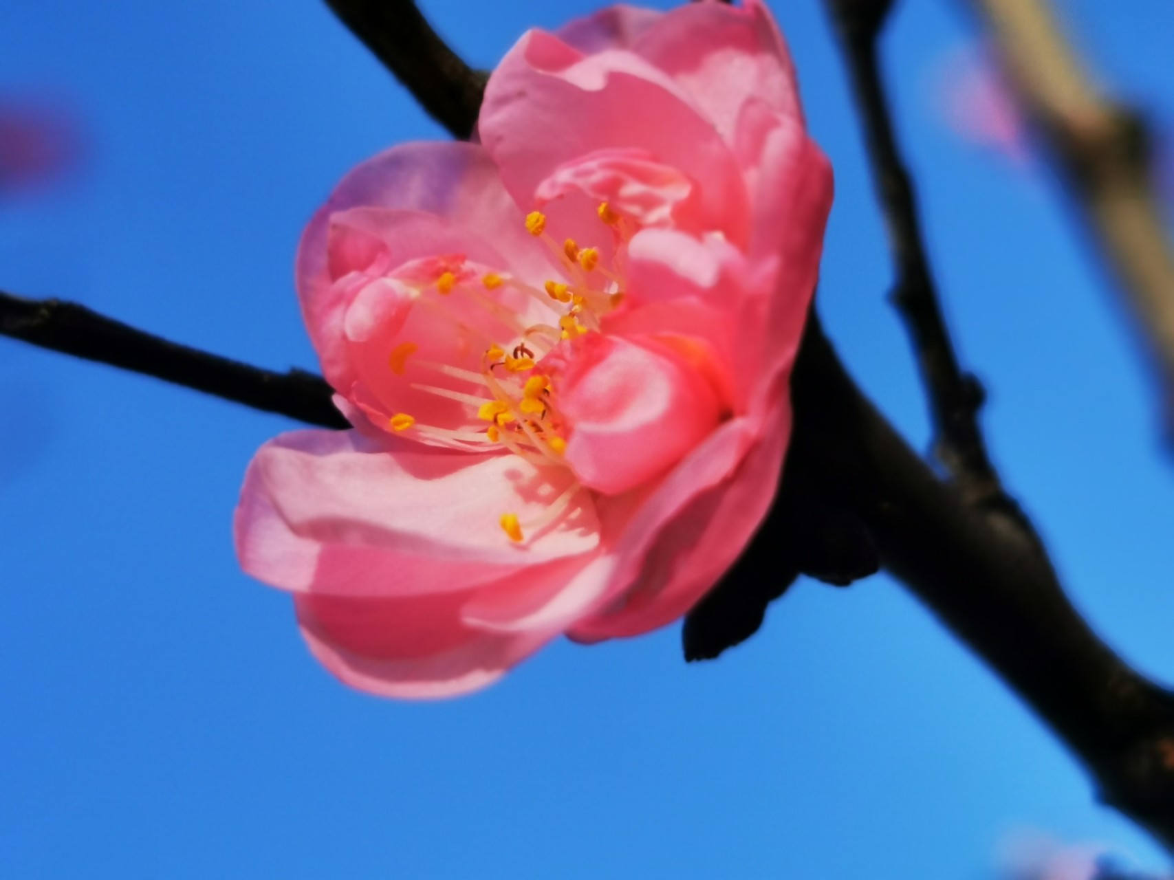 JDB电子游戏官网