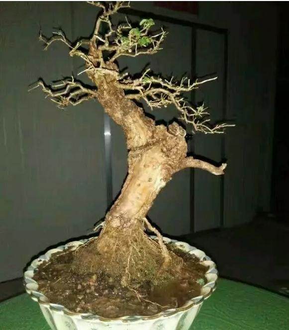 JDB电子游戏官网