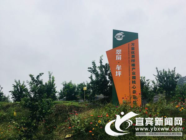 JDB电子游戏官网