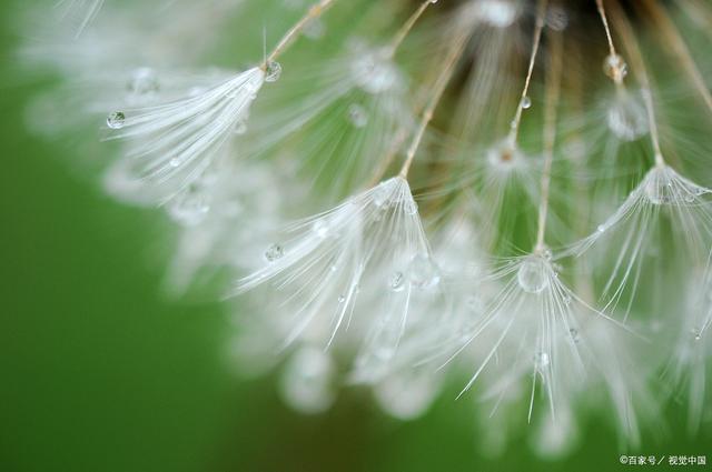 JDB电子游戏官网